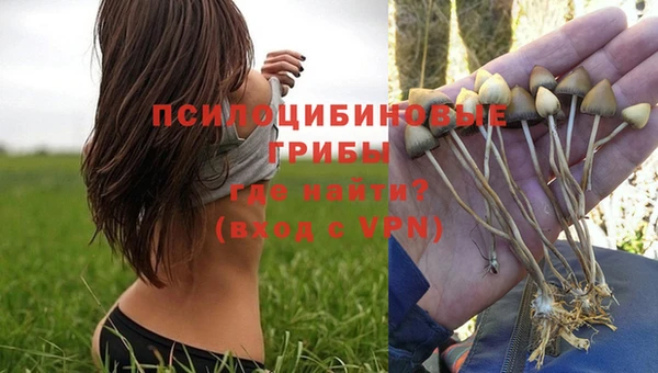 шишки Алзамай