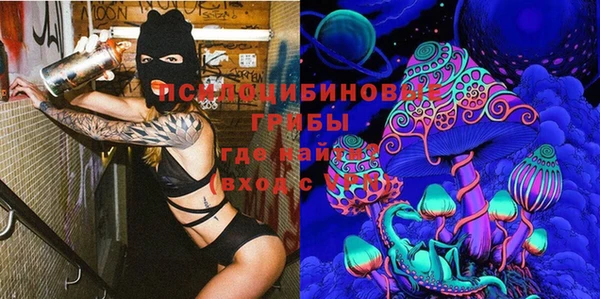 шишки Алзамай