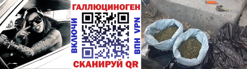 Галлюциногенные грибы прущие грибы  Шелехов 